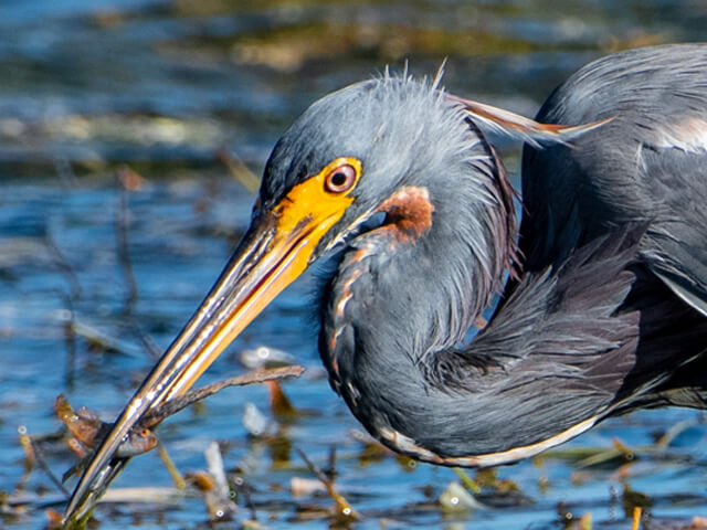 Things To Do In Salt Cay