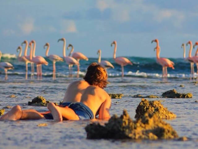 Things To Do In Salt Cay